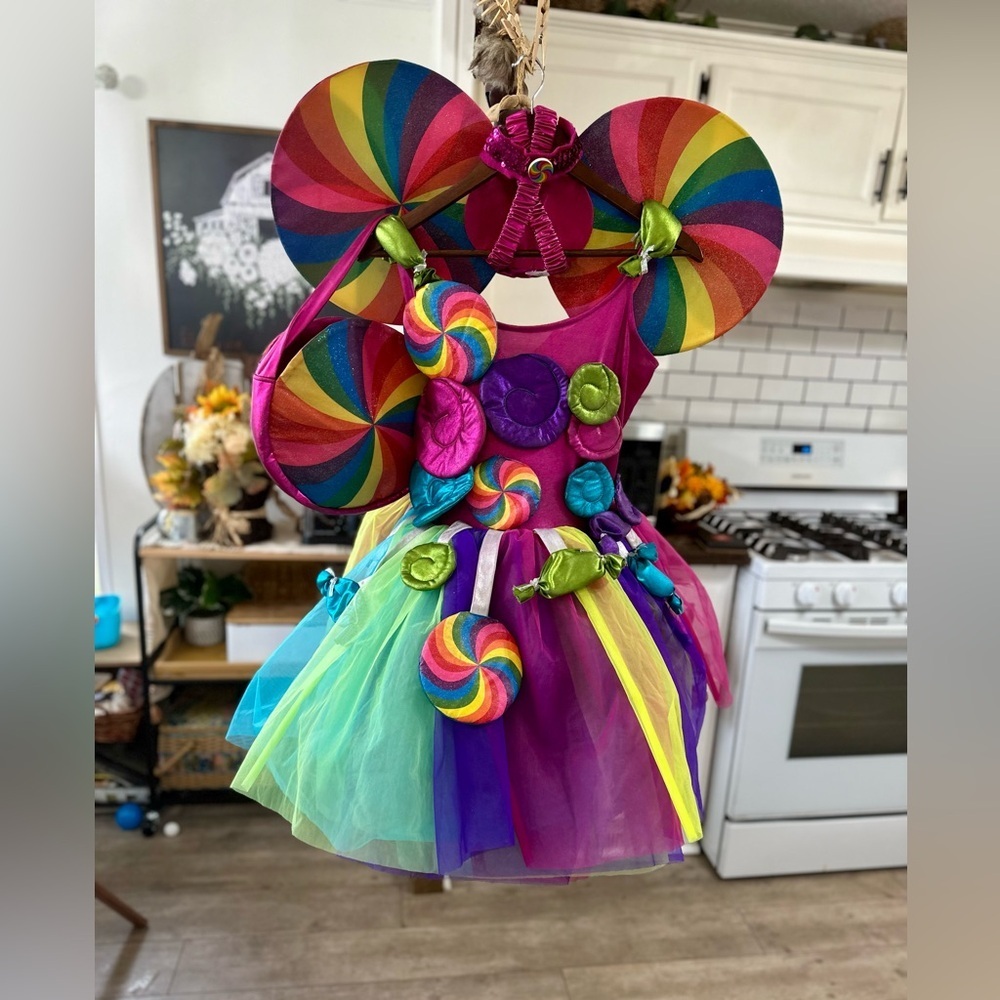 Chasing FireFlies Wishcraft Candy Fairy Halloween Costume & Accessories - Picture 1 of 14